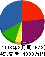 紅井電機商会 貸借対照表 2008年3月期
