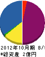 中村水建 貸借対照表 2012年10月期