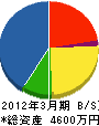 藤原電工 貸借対照表 2012年3月期