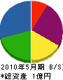 早川建設 貸借対照表 2010年5月期