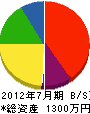 井本電機 貸借対照表 2012年7月期
