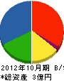 渡辺土木 貸借対照表 2012年10月期