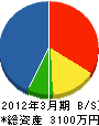 岩栄 貸借対照表 2012年3月期