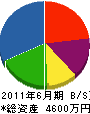 高山電気 貸借対照表 2011年6月期