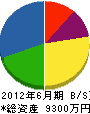 藤栄建設 貸借対照表 2012年6月期