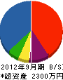 小野寺商店 貸借対照表 2012年9月期