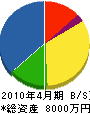 ヤマグチ電機 貸借対照表 2010年4月期