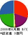長野マーケティング 貸借対照表 2008年6月期