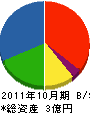 渡辺土木 貸借対照表 2011年10月期