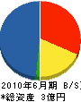 長崎建設 貸借対照表 2010年6月期