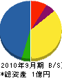 サヌキ技研 貸借対照表 2010年9月期