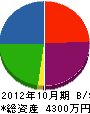 大雄土建 貸借対照表 2012年10月期