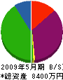 堀井内装 貸借対照表 2009年5月期