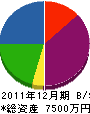 ワタナベ建興 貸借対照表 2011年12月期