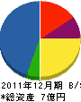 松尾 貸借対照表 2011年12月期