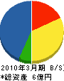 大崎電設 貸借対照表 2010年3月期