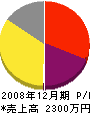 松浦組 損益計算書 2008年12月期