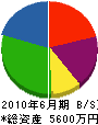 千葉塗装 貸借対照表 2010年6月期