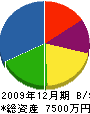 東電設 貸借対照表 2009年12月期
