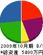 心明土木 貸借対照表 2009年10月期