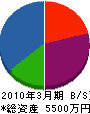 渡辺板金工業 貸借対照表 2010年3月期