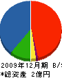 秀栄建設 貸借対照表 2009年12月期