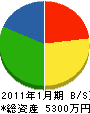 木村塗装店 貸借対照表 2011年1月期