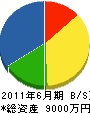 崎永建設 貸借対照表 2011年6月期
