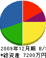 岩佐建設 貸借対照表 2009年12月期