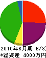 臼杵総建 貸借対照表 2010年6月期