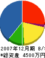 鶴ケ崎工務店 貸借対照表 2007年12月期