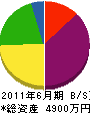 ハヤノ 貸借対照表 2011年6月期