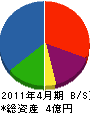 ニューライフ山七 貸借対照表 2011年4月期