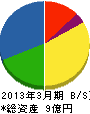 テクノス北海道 貸借対照表 2013年3月期