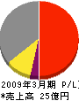 沖縄通信ネットワーク 損益計算書 2009年3月期