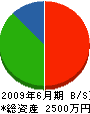 斎藤建設 貸借対照表 2009年6月期