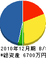 藤本組 貸借対照表 2010年12月期