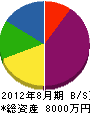 大嶋建設 貸借対照表 2012年8月期