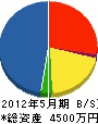 早坂工業所 貸借対照表 2012年5月期