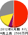 辻正電気 損益計算書 2012年6月期