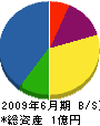 松村園芸 貸借対照表 2009年6月期