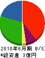 岡澤建設 貸借対照表 2010年6月期