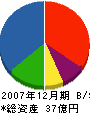 亀井鐵鋼 貸借対照表 2007年12月期
