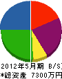 藤澤建設 貸借対照表 2012年5月期
