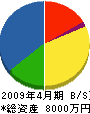 ヤマグチ電機 貸借対照表 2009年4月期