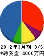 佐々木建設 貸借対照表 2012年3月期