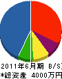 ふじ井電気工事 貸借対照表 2011年6月期