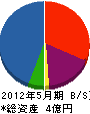 早川電工 貸借対照表 2012年5月期