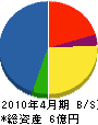 井島建設 貸借対照表 2010年4月期