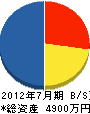 岩澤電気 貸借対照表 2012年7月期